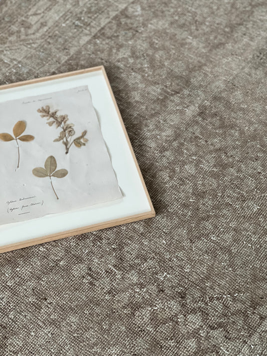 Heirloom (3' x 10')