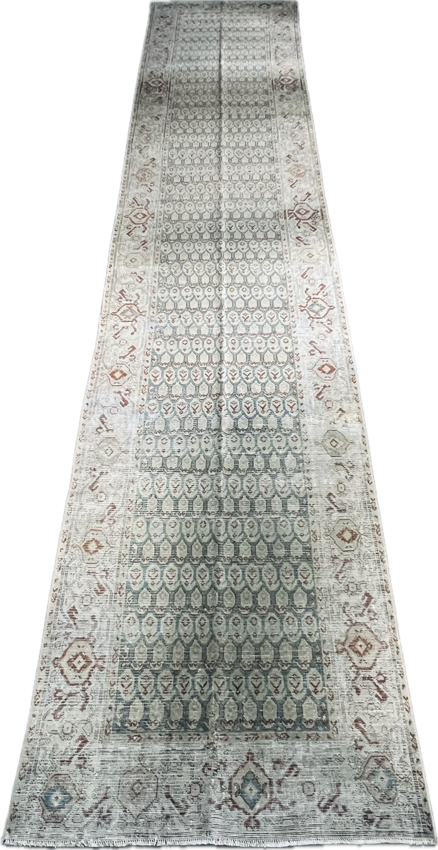 Heirloom (3’ x 16’)