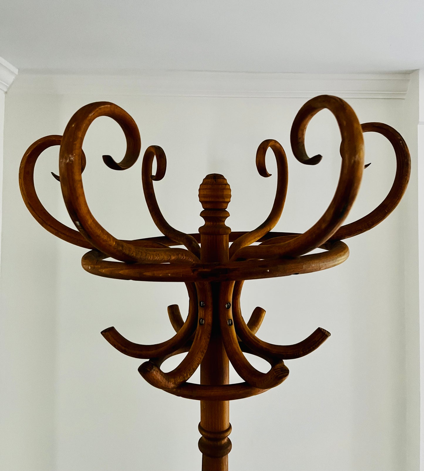 Antique Bentwood Coat Rack